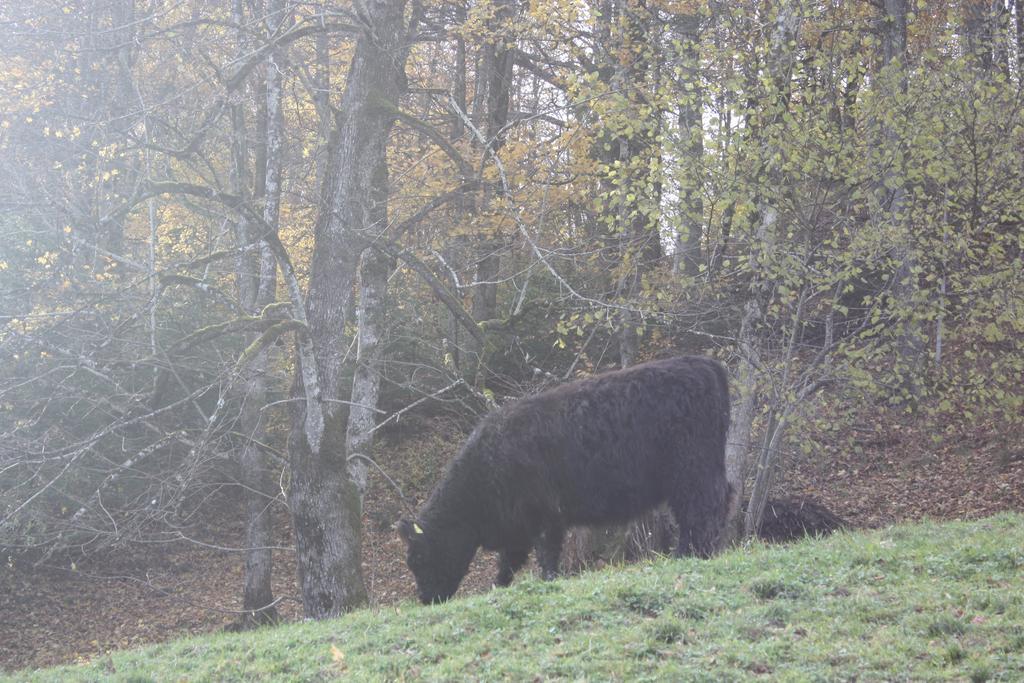 Alpenferienwohnungen Wiesenlehen เบิร์ชเทสกาเดน ภายนอก รูปภาพ