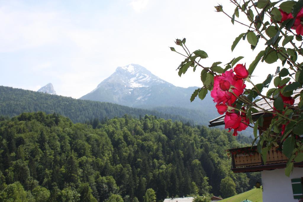 Alpenferienwohnungen Wiesenlehen เบิร์ชเทสกาเดน ภายนอก รูปภาพ
