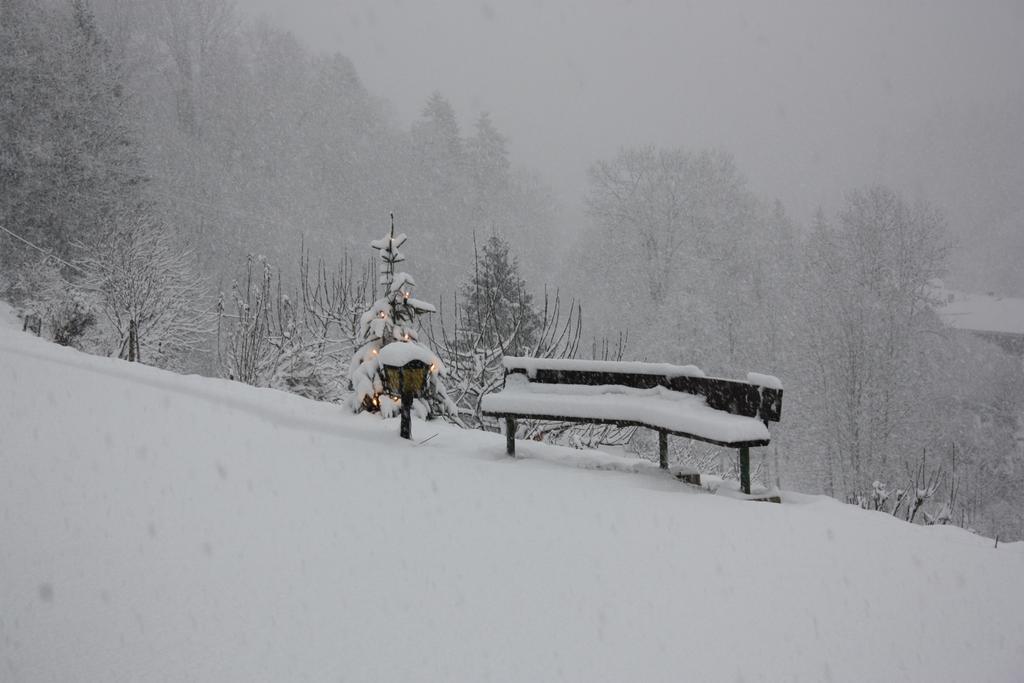 Alpenferienwohnungen Wiesenlehen เบิร์ชเทสกาเดน ภายนอก รูปภาพ